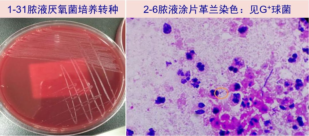 澳门威斯尼斯wns888入口