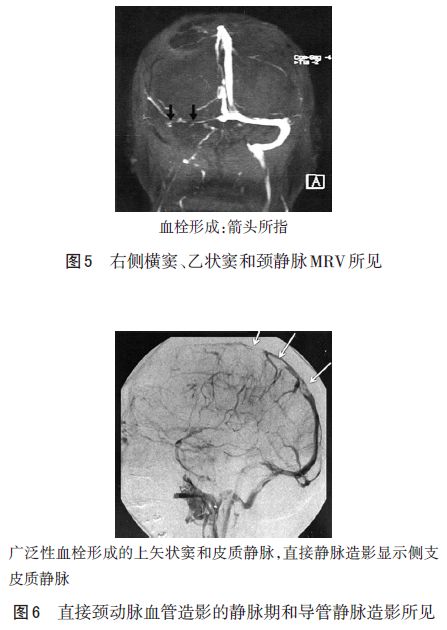 澳门威斯尼斯wns888入口